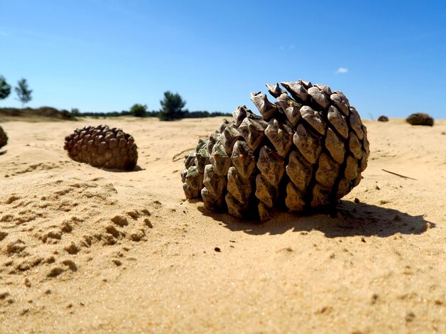 Rocks on sand against clear sky