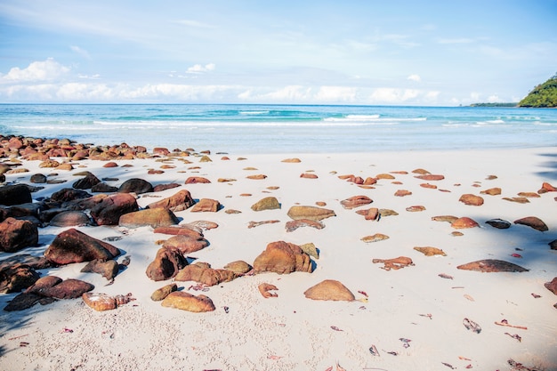 Foto rocce sulla spiaggia di sabbia.