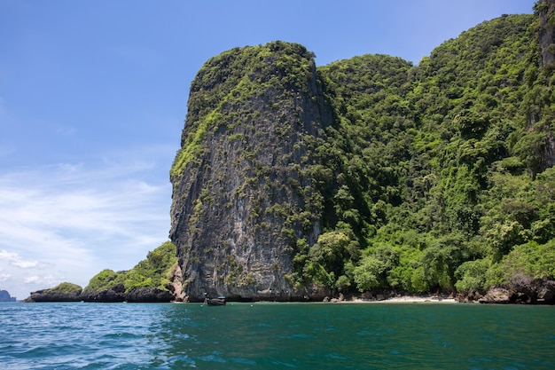 海のビーチの岩