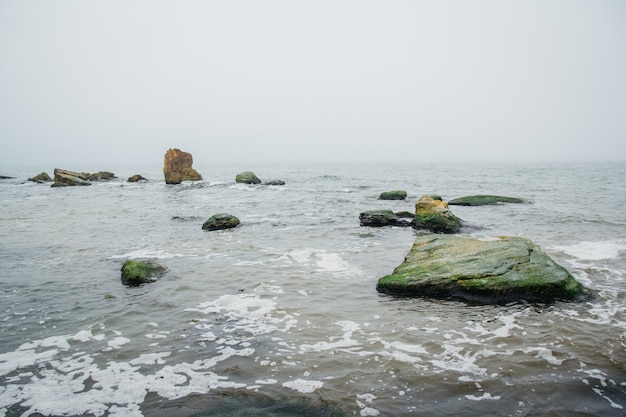 早朝の海の岩。