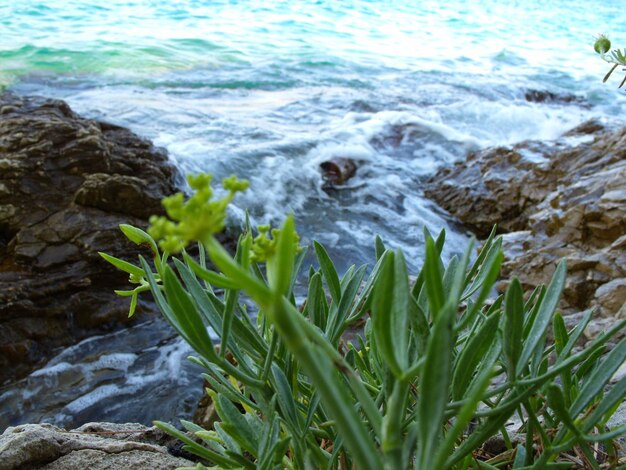 Foto rocce in mare