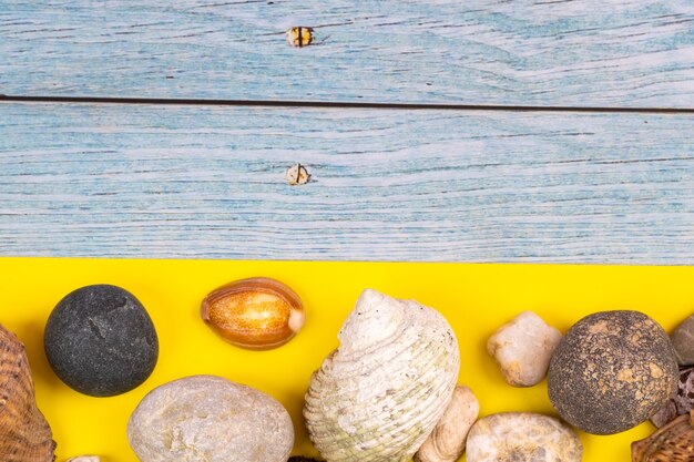 Rocks and seashells in beach concept