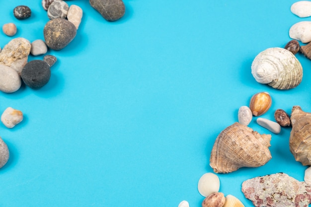 Rocks and seashells in beach concept