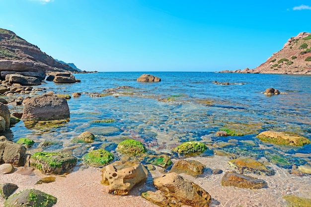 サルデーニャ島Porticciolo海岸の岩と海藻