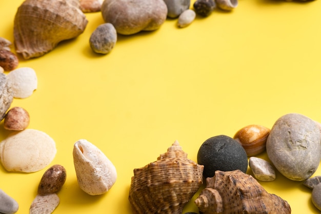 Rocks and shells on a yellow background .Marine theme