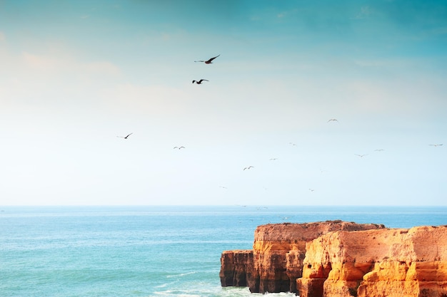 Rocks on the shore of Atlantic ocean in Algarve, Portugal. Seagulls soaring in the sky. Beautiful summer seascape, famous travel destination