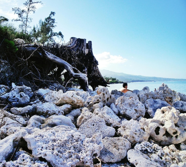 Photo rocks on shore