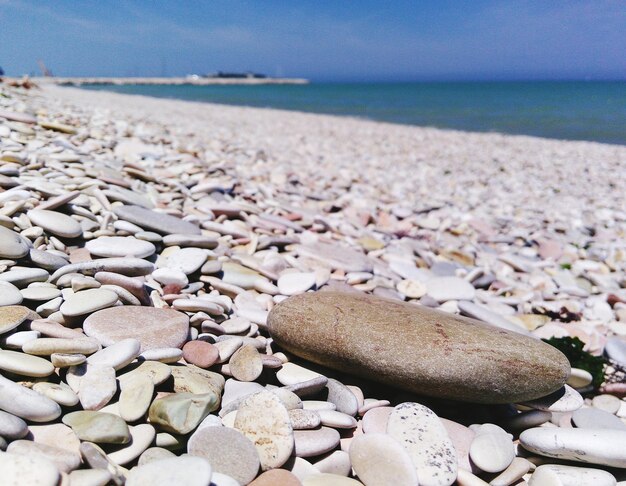 Rocks on shore