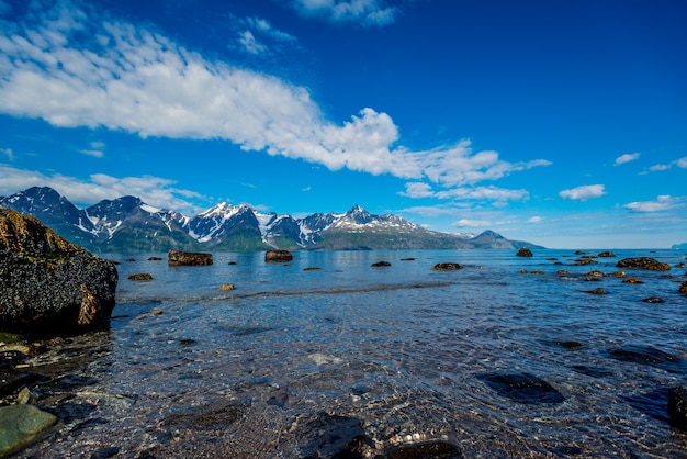 Sognefjord의 바위, 세계에서 세 번째로 긴 피요르드, 노르웨이에서 가장 큰 피요르드.