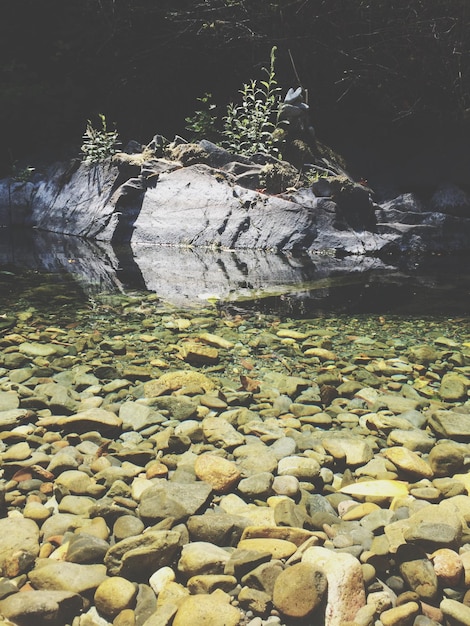 Photo rocks in water at shore