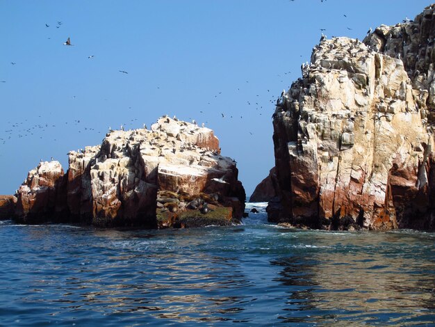 Rocks with animals in the Pacific ocean Paracas Peru