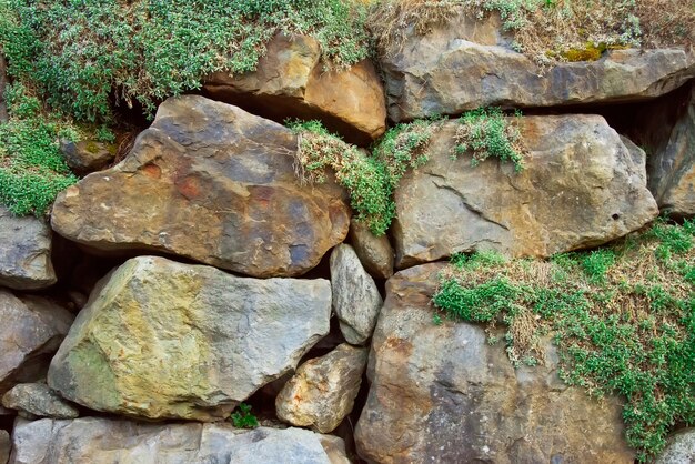 Rocks with green moss background