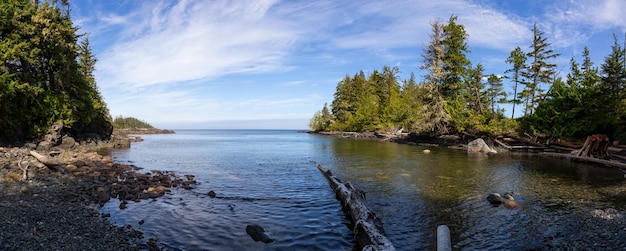 Rocky beach during a vibrant sunny summer day