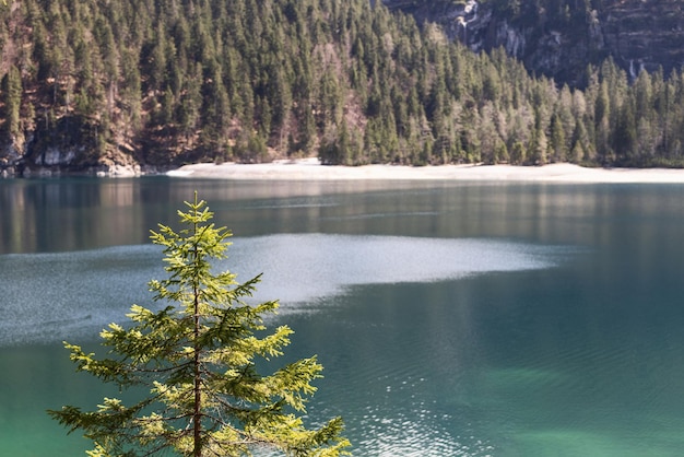 Rocky beaches and incredible mountain reflections on Tovel Lake in Ville d'Anaunia. Trentino, Italy