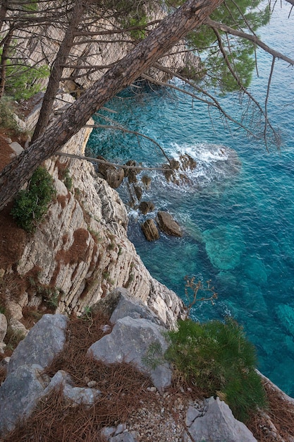 Rocky cliff of layered stone and pine over the turquoise sea