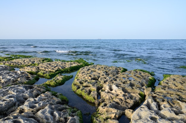 Скалистый берег Каспийского моря, покрытый водорослями