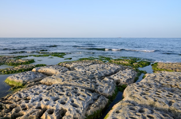 Скалистый берег Каспийского моря, покрытый водорослями