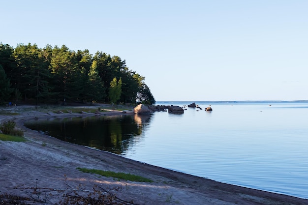 Rocky coast of the Gulf of Finland