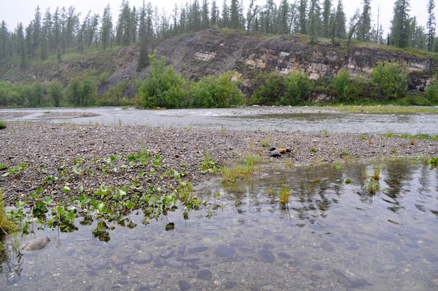 Rocky coast of mountain river