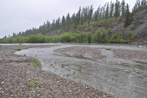 Rocky coast of mountain river