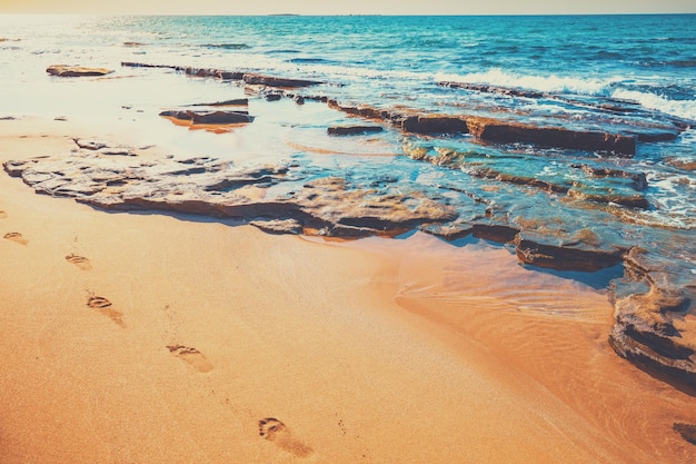 Rocky coast in summer Beautiful seascape Sunset beach