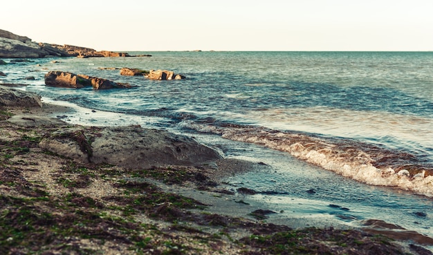 Rocky coast at sunset time