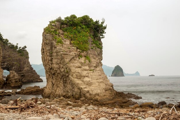 岩だらけの海岸