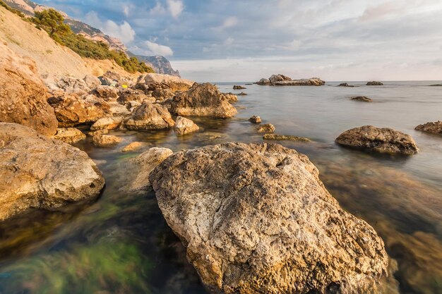 Rocky coastline with pine trees on blue sky and sea background