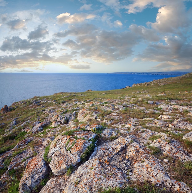 Rocky coastline