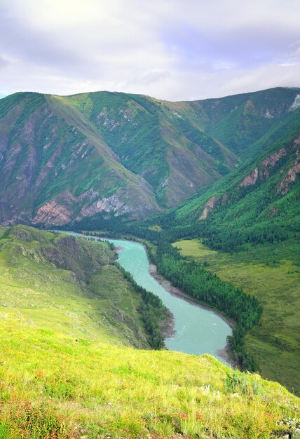 曇った青い空の下で夏の岩が多い緑の山々アルタイシベリアロシア