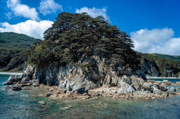 rocky island with pine trees