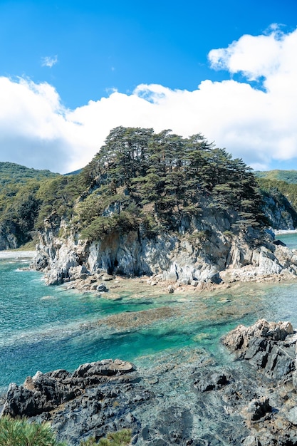 rocky island with pine trees