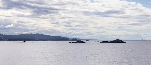 Rocky islands ocean and island with trees summer season