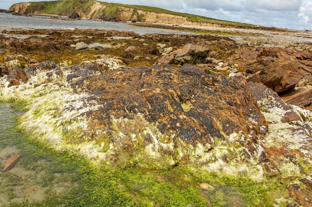 Rocky kustlijn landschap water mos algen op stenen zee Sky Road Clifden Beach Road in Ierland