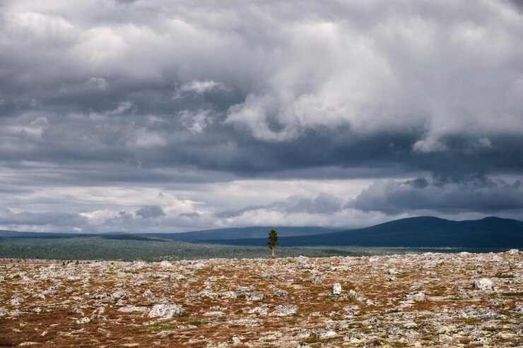 Photo rocky landscape against storm clouds with solitary tree