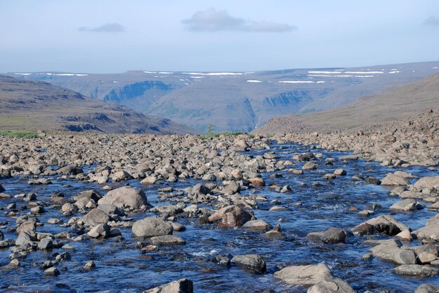 A rocky landscape