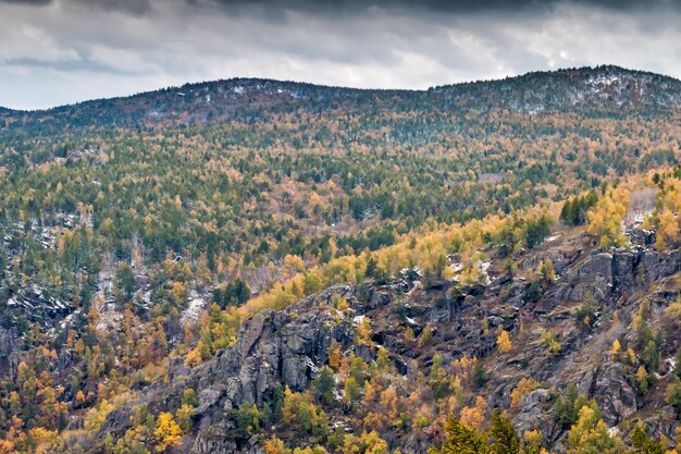 Rocky mountain ranges in autumn forest