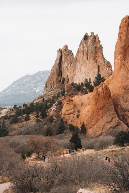 Foto sentiero di montagna rocciosa con abbondanti alberi