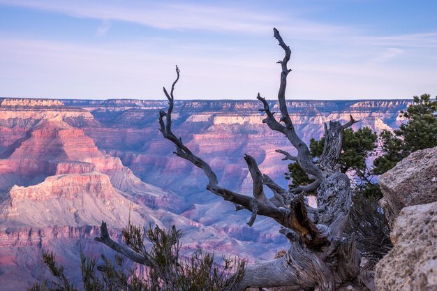 写真 空に照らされたグランド・キャニオンにあるロッキー・マウンテンズ