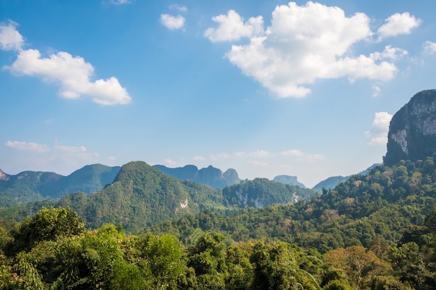 Rocky mountains covered with rainforest