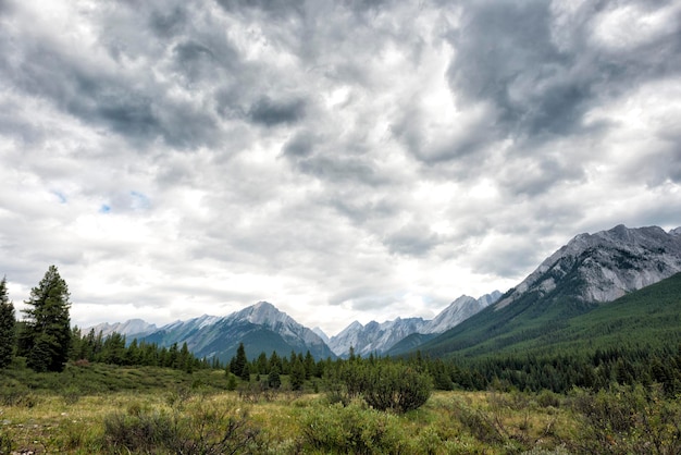 rocky mountains view on cloudy grey sky