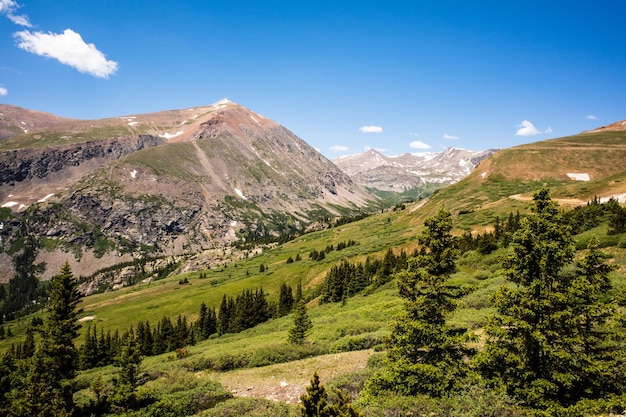 Rocky mountains with green hilly foreground pine trees and blue sky with small clouds in colorado