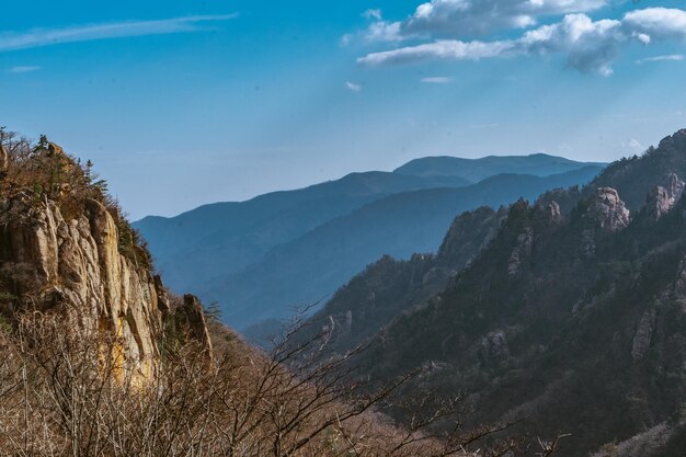 Rocky mountains