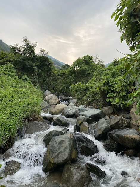 A rocky river against green plant under silver clouds