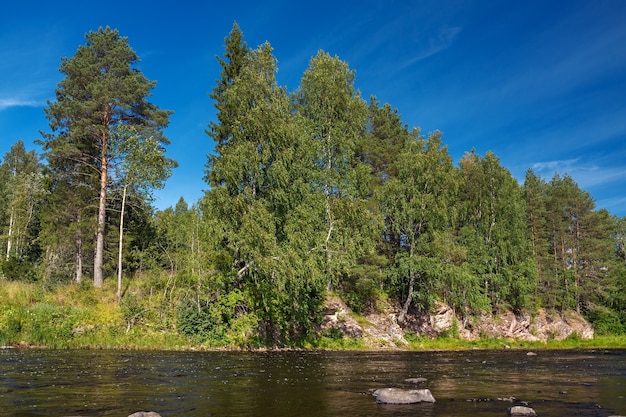 Rocky river Bank with mixed forest.