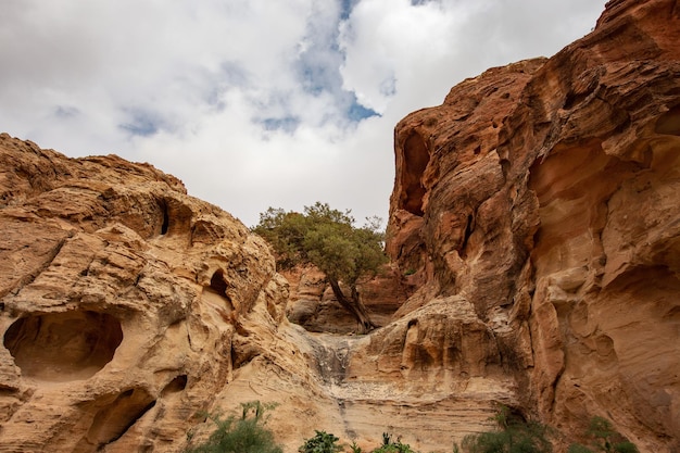 Rocky sandstone mountains landscape in jordan desert near petra\
ancient town, jordan