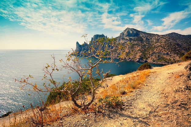 Rocky sea coast