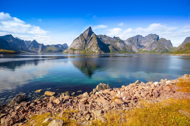 저녁에 바위 해변 노르웨이의 아름다운 자연 Lofoten 섬 노르웨이