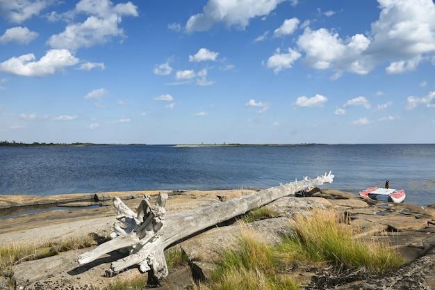 Rocky seashore