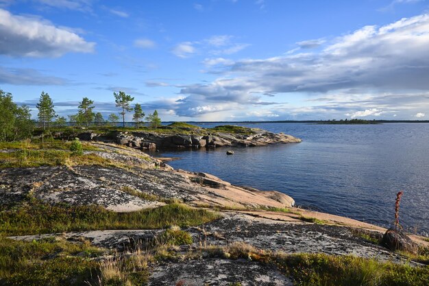 Rocky seashore